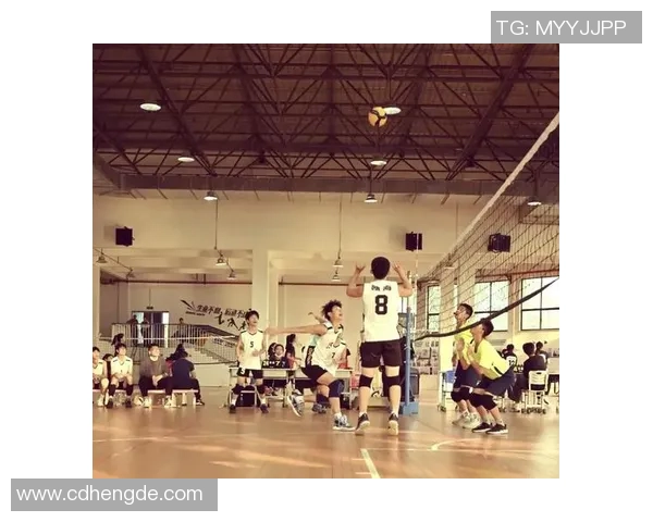 重庆排球队展现卓越灵活性荣登最新排球灵活性TOP10榜首