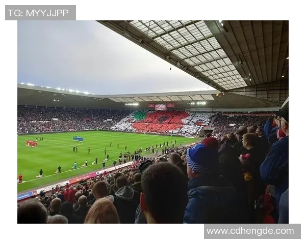 喀麦隆足球明星盘点：那些闪耀绿茵场的传奇人物与他们的辉煌成就